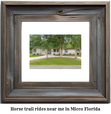 horse trail rides near me in Micco, Florida